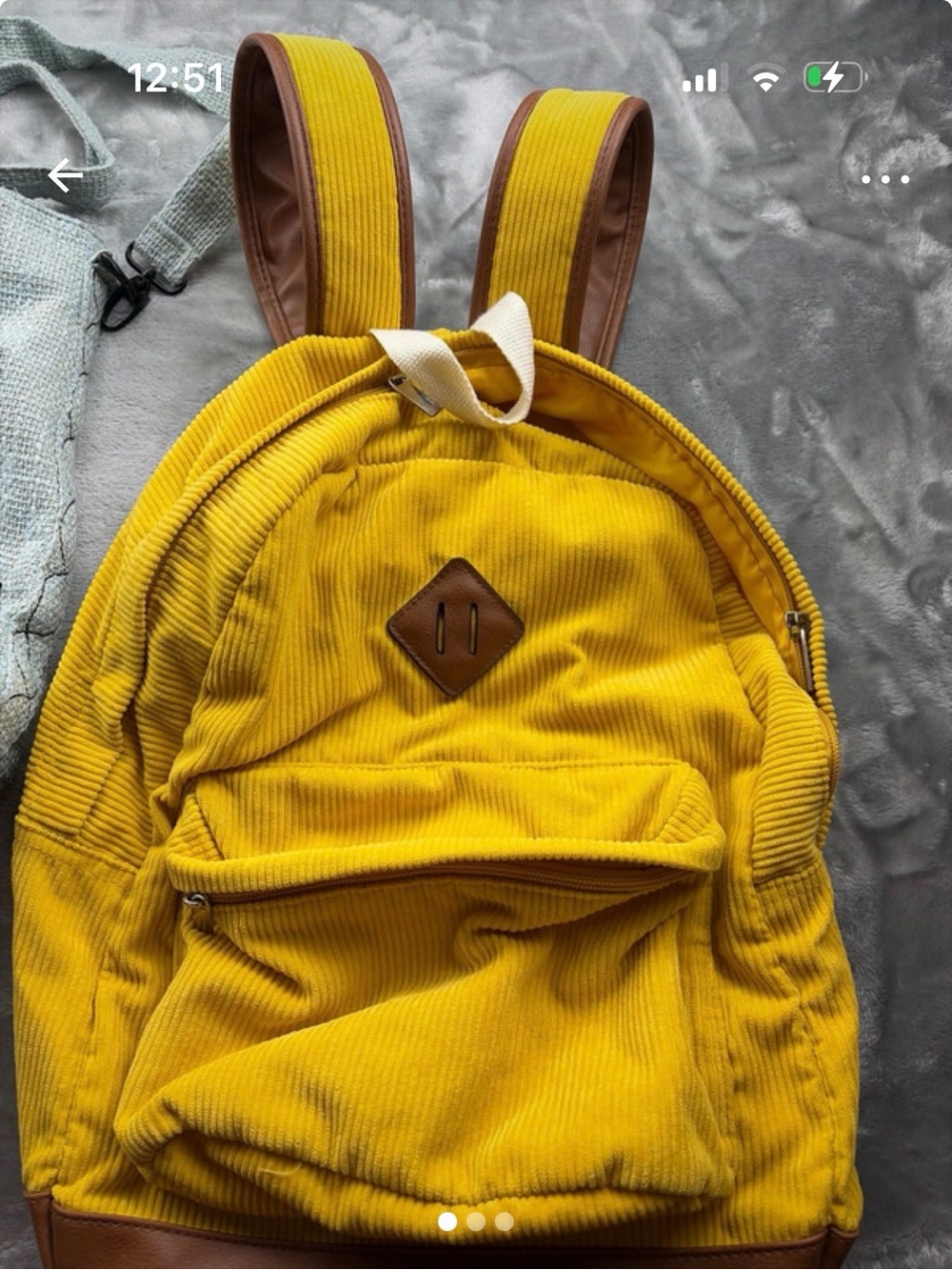 wild fable Yellow Backpack Interior